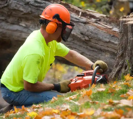 tree services Holden